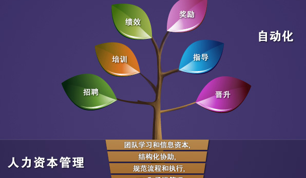 柳州人力代招培训 柳州人力代招培训